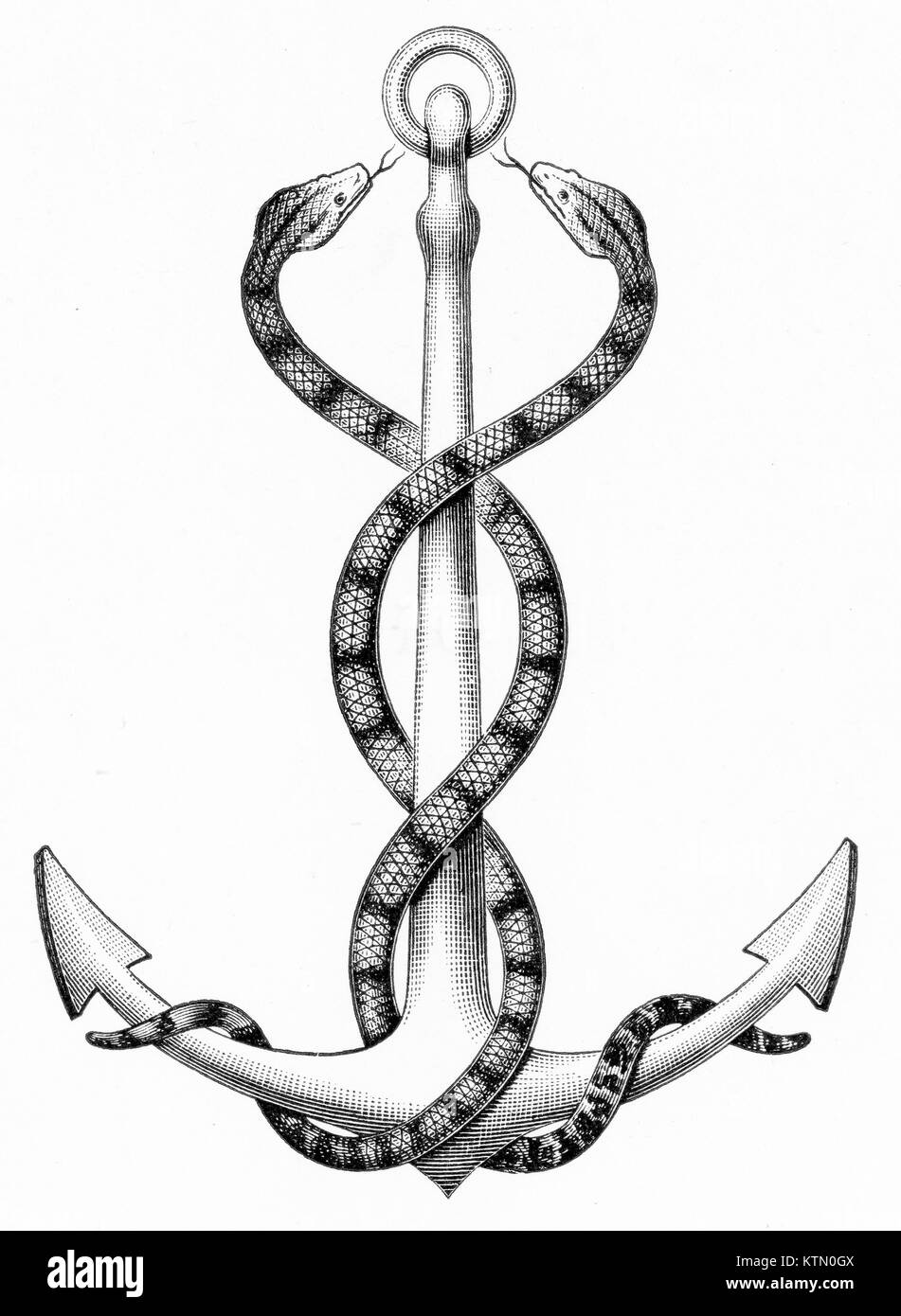 Grabado de dos serpientes entrelazadas alrededor de un ancla. A partir de un original grabado en contornos de Zoología de Thomson, 1906 Foto de stock
