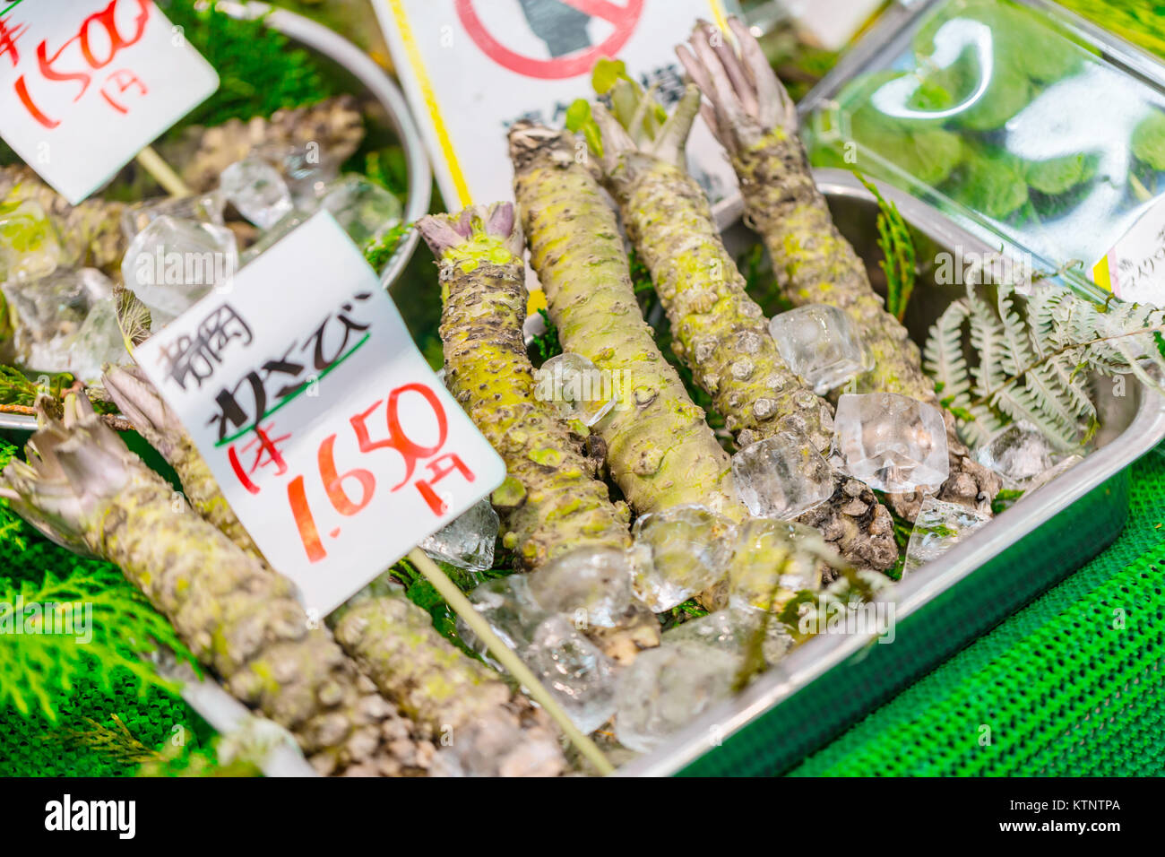 Raíz de Wasabi hierba picante japonés venta en Venta en Mercado Kuromon Ichiba Osaka en Japón. Foto de stock