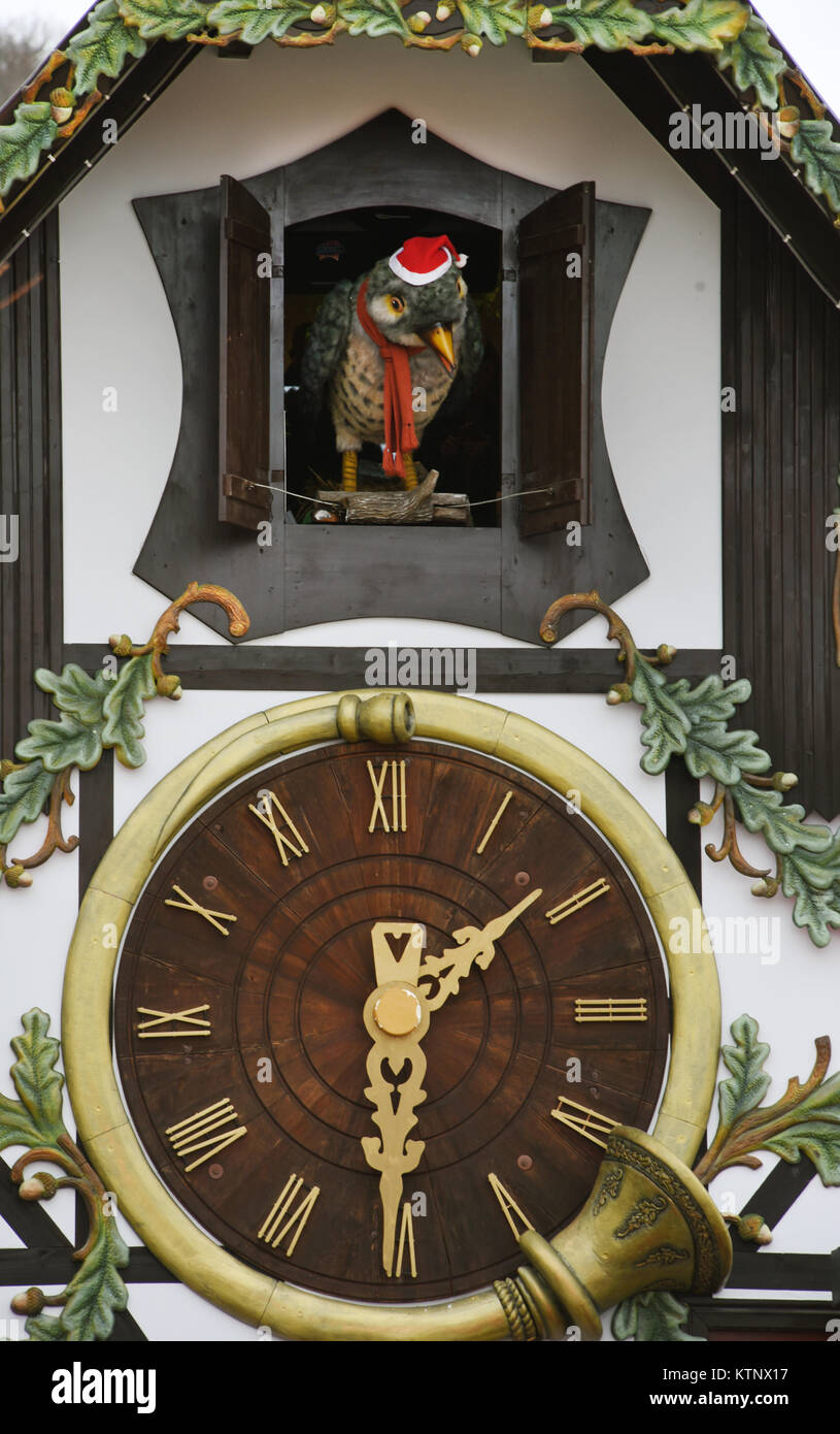 El cuco de los 14, 50 metros gran reloj de cuco "peeks" de el reloj en el  museo de relojes de cuco Gernrode, Alemania, el 27 de diciembre de 2017. El  cuco,