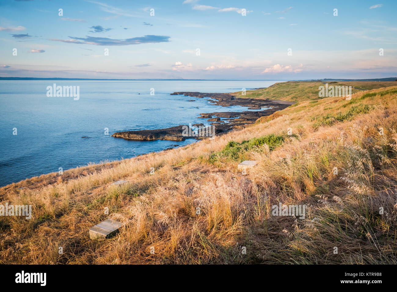 La Isla Phillip en australia Foto de stock