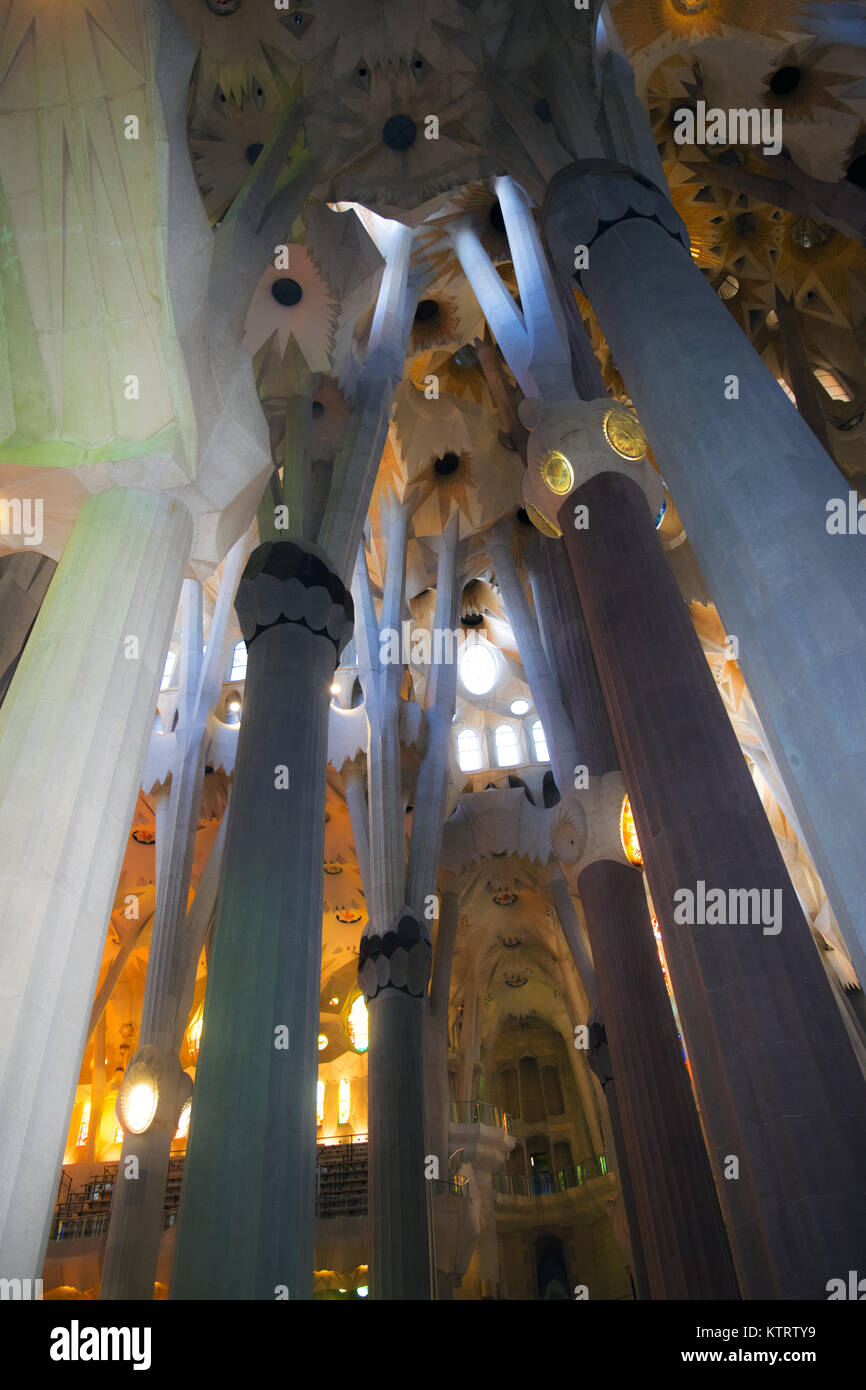 Árbol como columnas que sostienen el techo de la Sagrada Familia