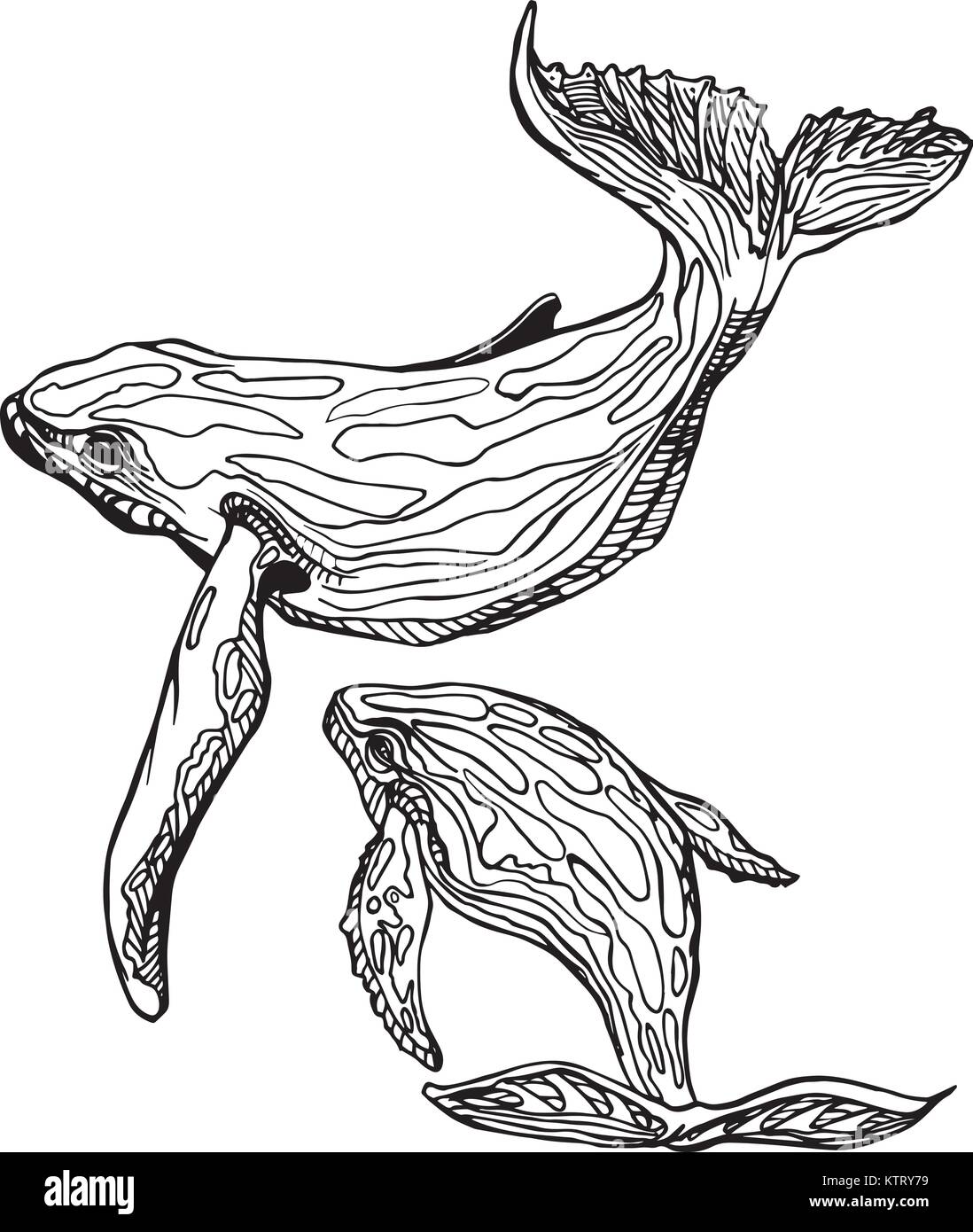 HandDrawn Doodle de madre e hijo ballena. Ilustración Vector vector