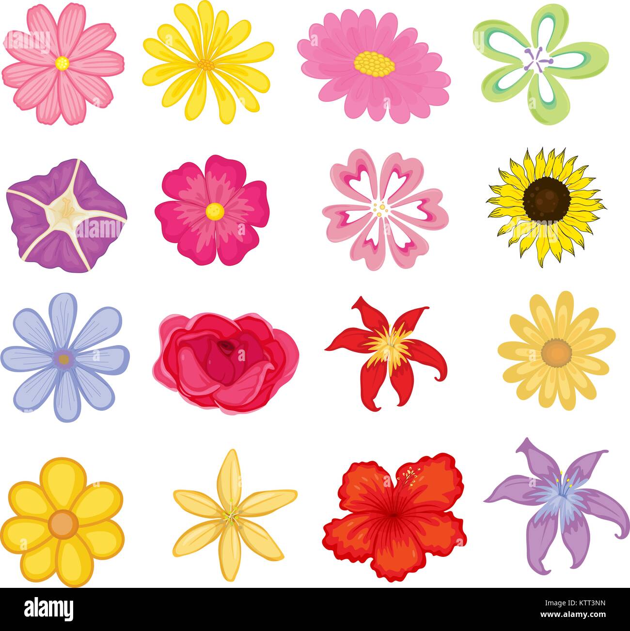 Ilustrado conjunto de objetos flores coloridas Imagen Vector de stock -  Alamy
