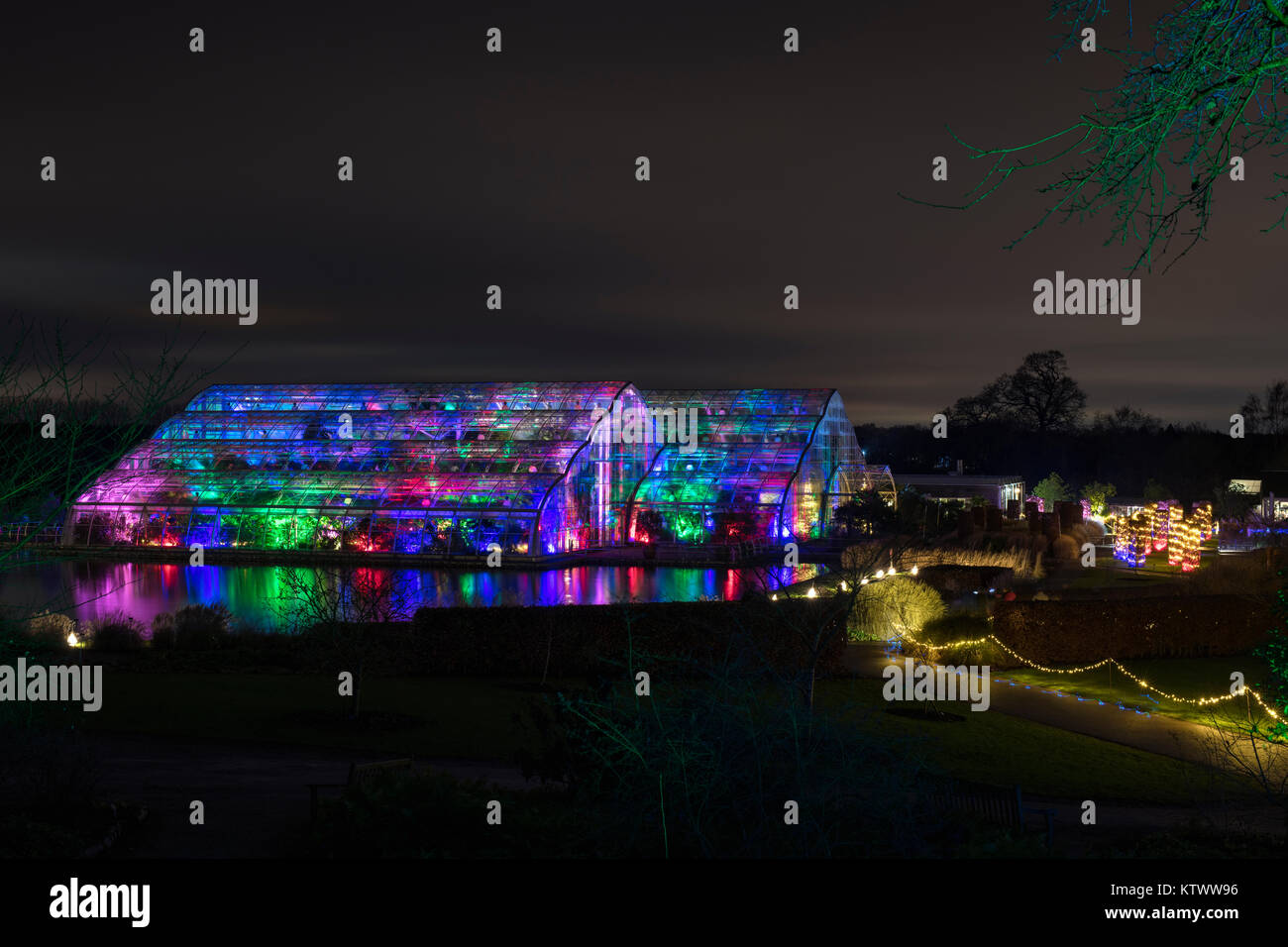 Árbol de navidad y luces en y fuera del invernadero. RHS Wisley gardens, Surrey, Inglaterra. Navidad 2017 Festival de resplandor Foto de stock