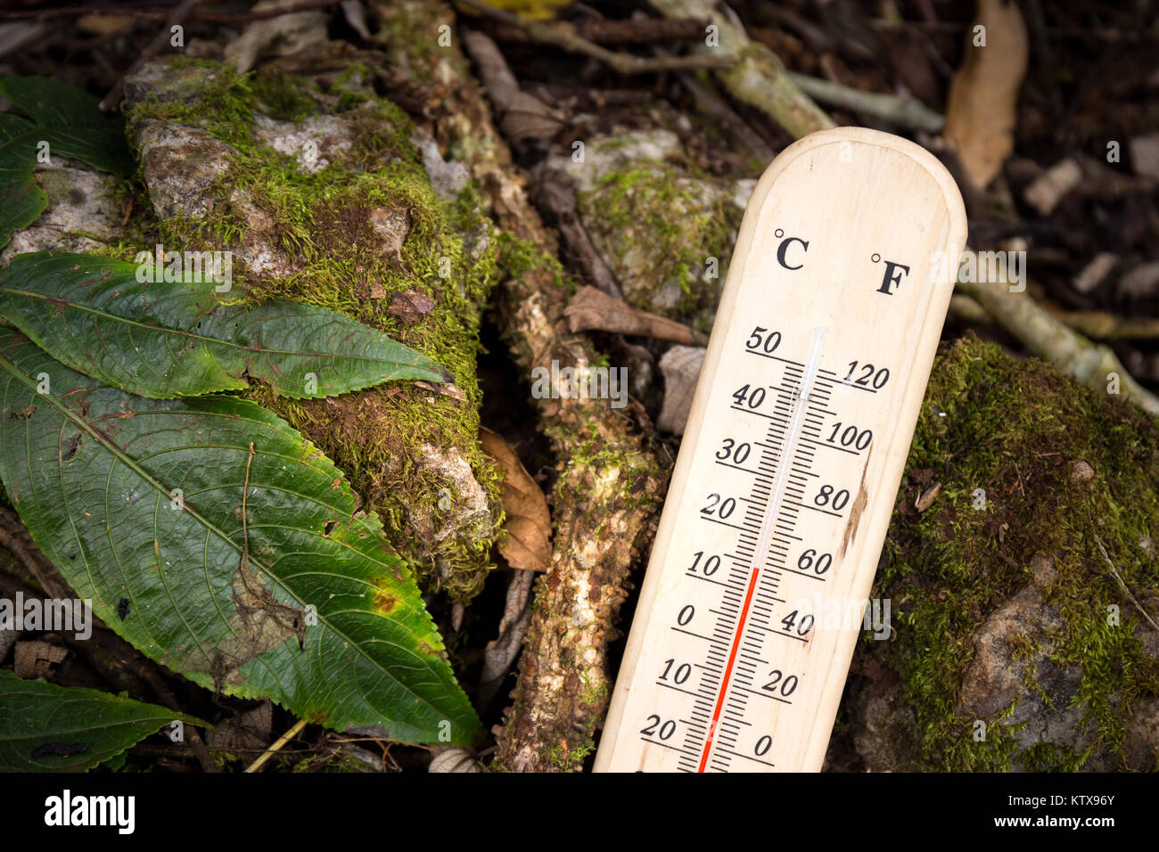 Termómetro de temperatura fría en la parte superior de la montaña en  Tailandia Fotografía de stock - Alamy