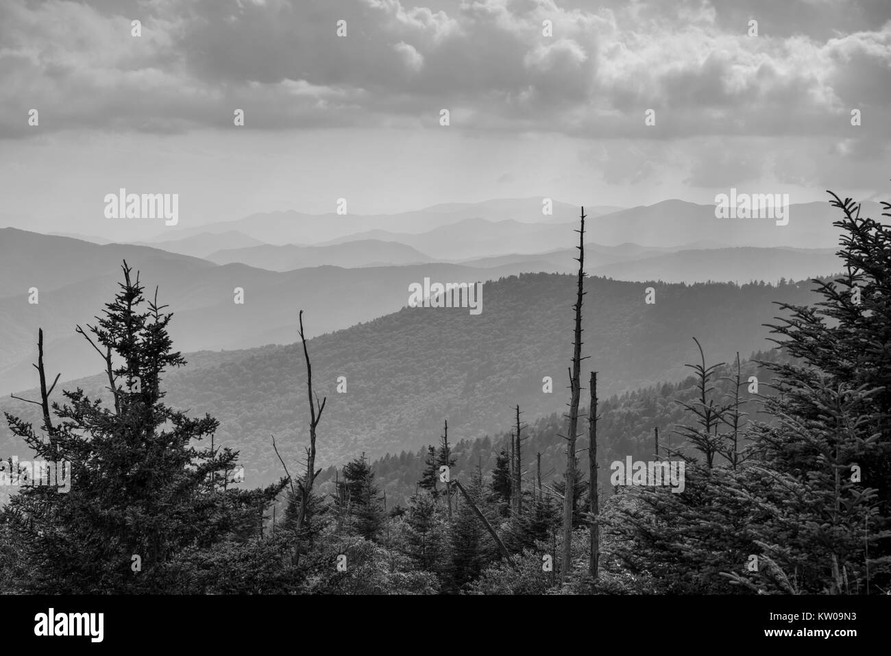 Las crestas de las montañas de verano en Carolina del Norte por encima del Newfound Gap Area Clingman, justo debajo de la cúpula. Foto de stock