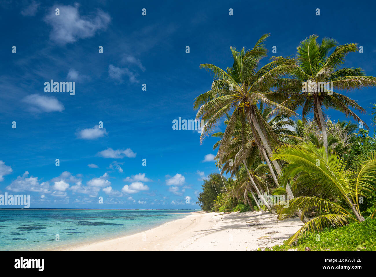 Playa con palmeras, Islas Cook Foto de stock