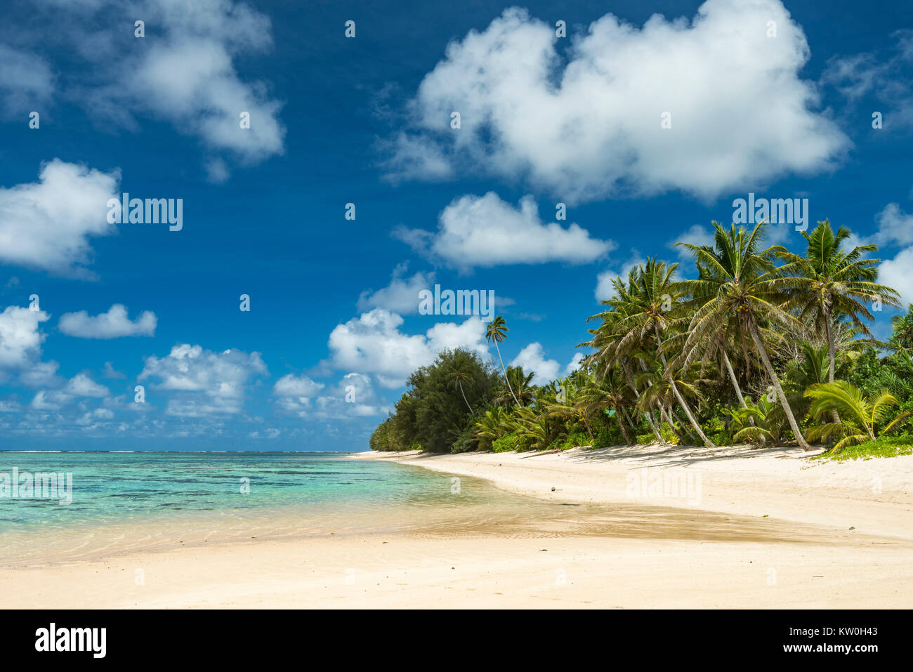 Playa con palmeras, Islas Cook Foto de stock