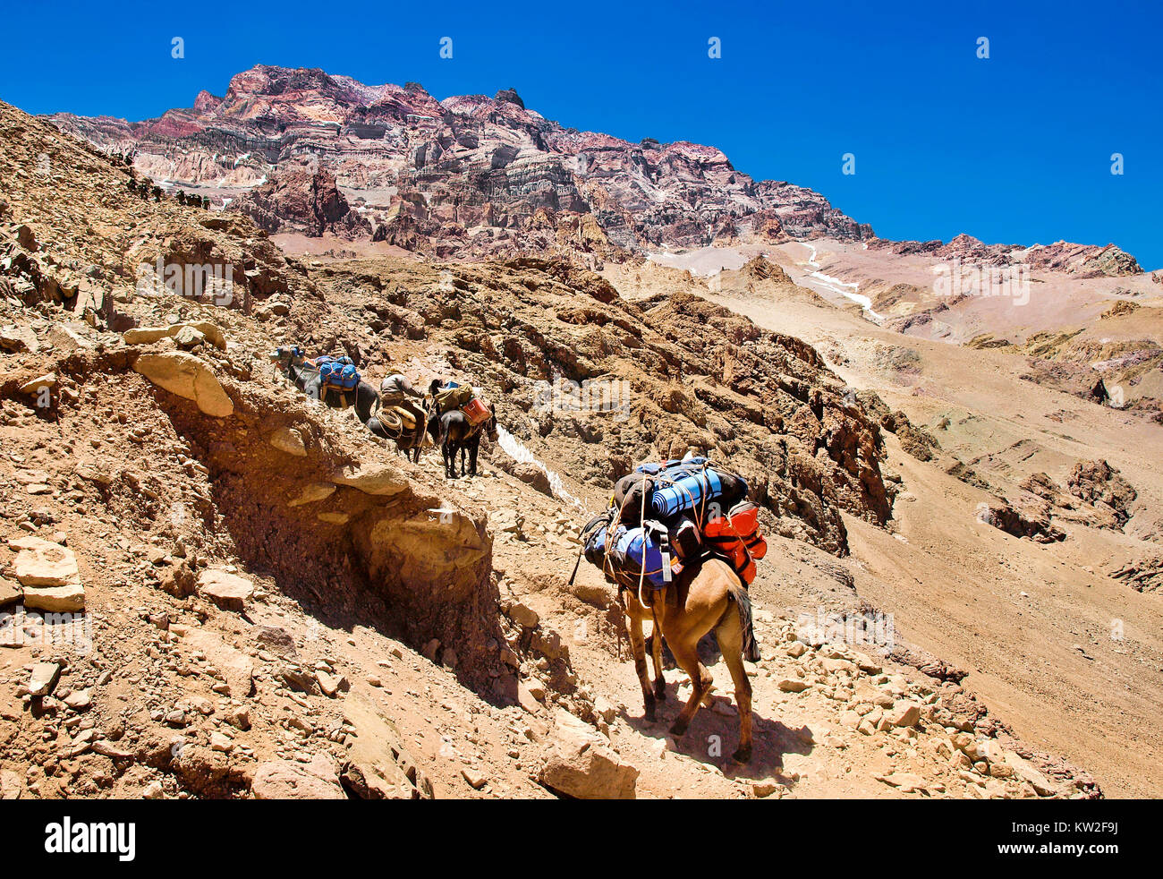 Hermosa vista de un grupo de excursionistas trekking en la Cordillera de Los Andes, Argentina, Sudamérica Foto de stock