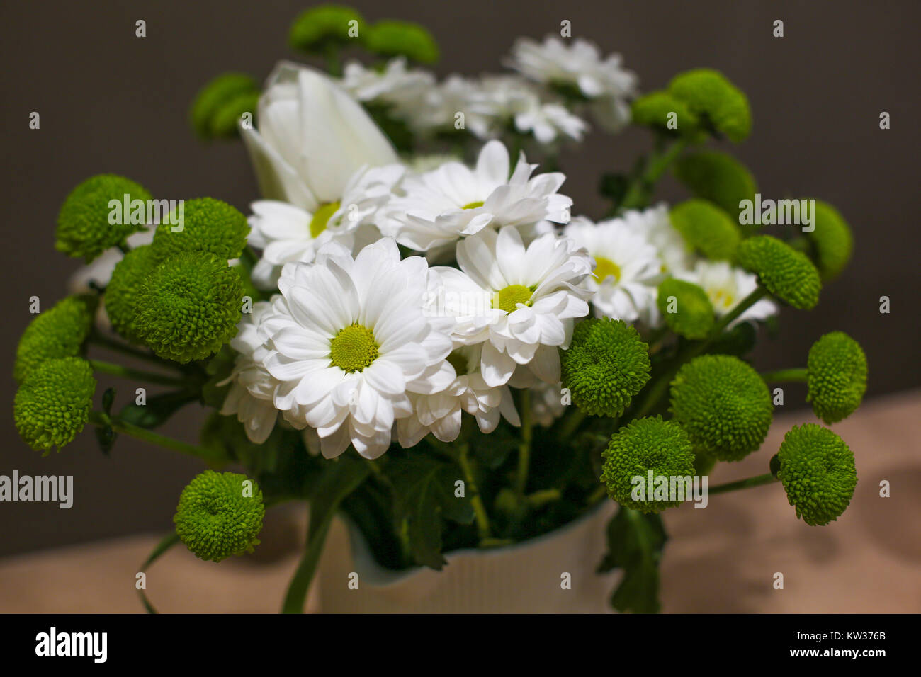 Fotos De Flores Blancas Bonitas