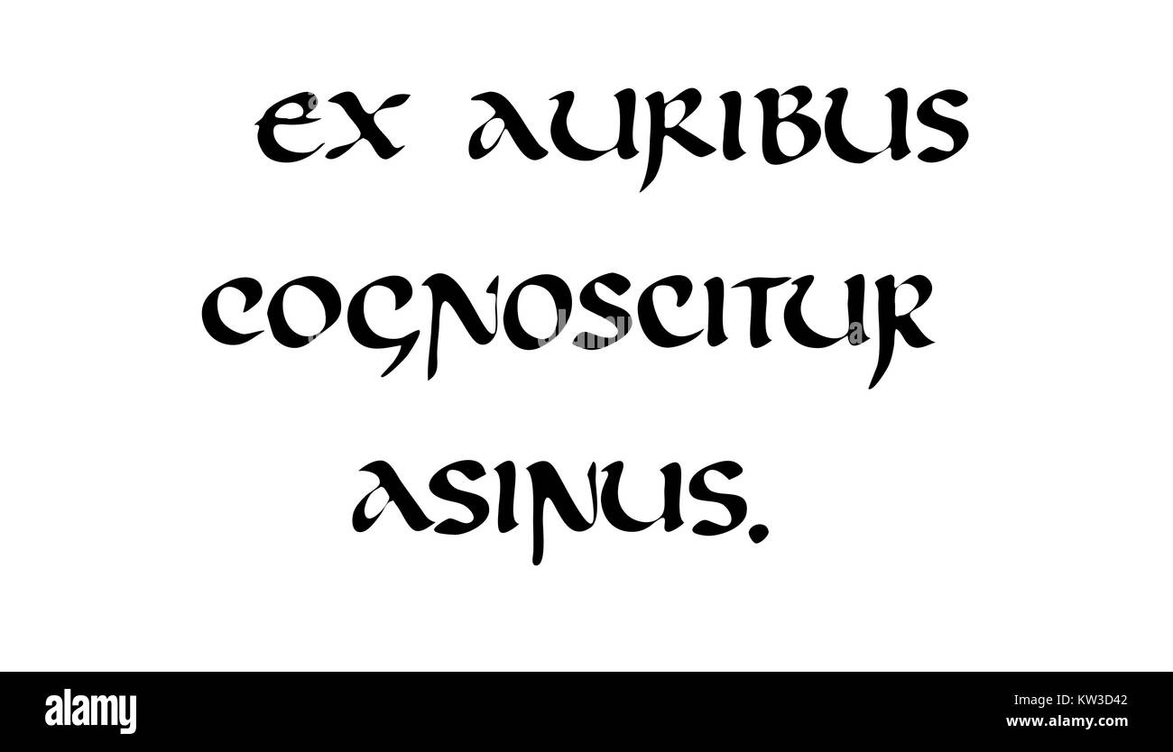Texto negro con caligrafía uncial texto latino Foto de stock