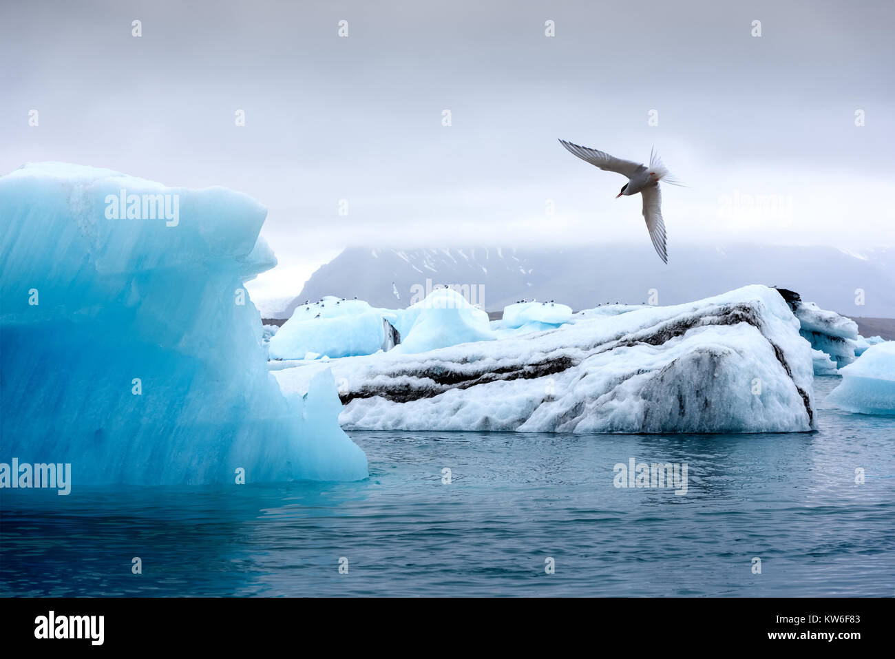 Los icebergs en la Laguna glaciar Jokulsarlon Foto de stock