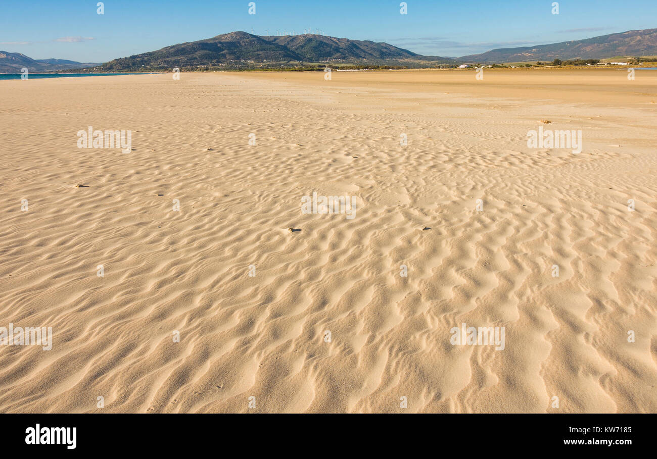 Los humedales costeros, la Playa de Los Lances, Parque Natural del Estrecho, Parque Natural del Estrecho. Tarifa, Andalucía, España. Foto de stock