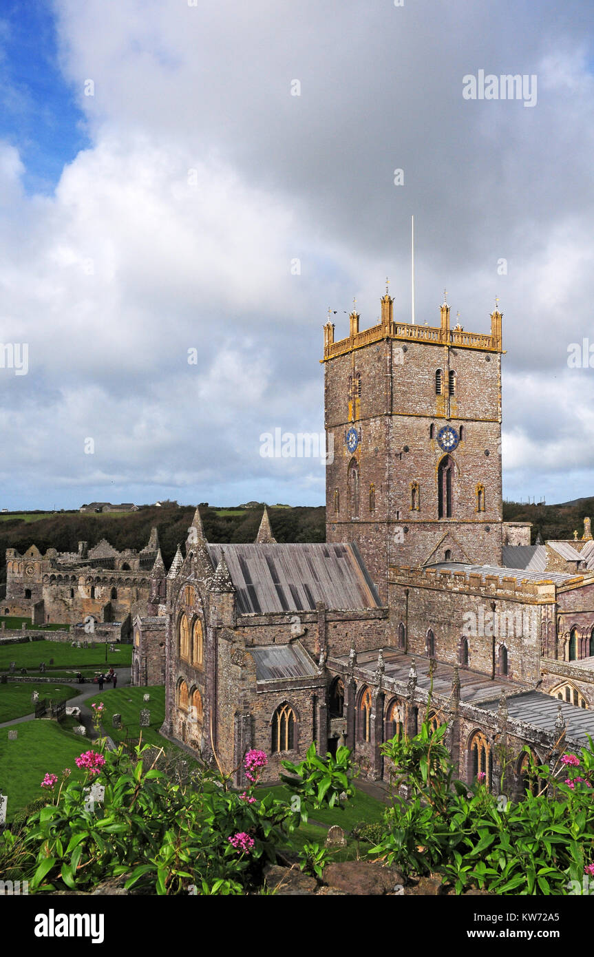 San David Catedral y el palacio del obispo, San Davids', de Pembrokeshire. Gales en el Gatehouse. Foto de stock