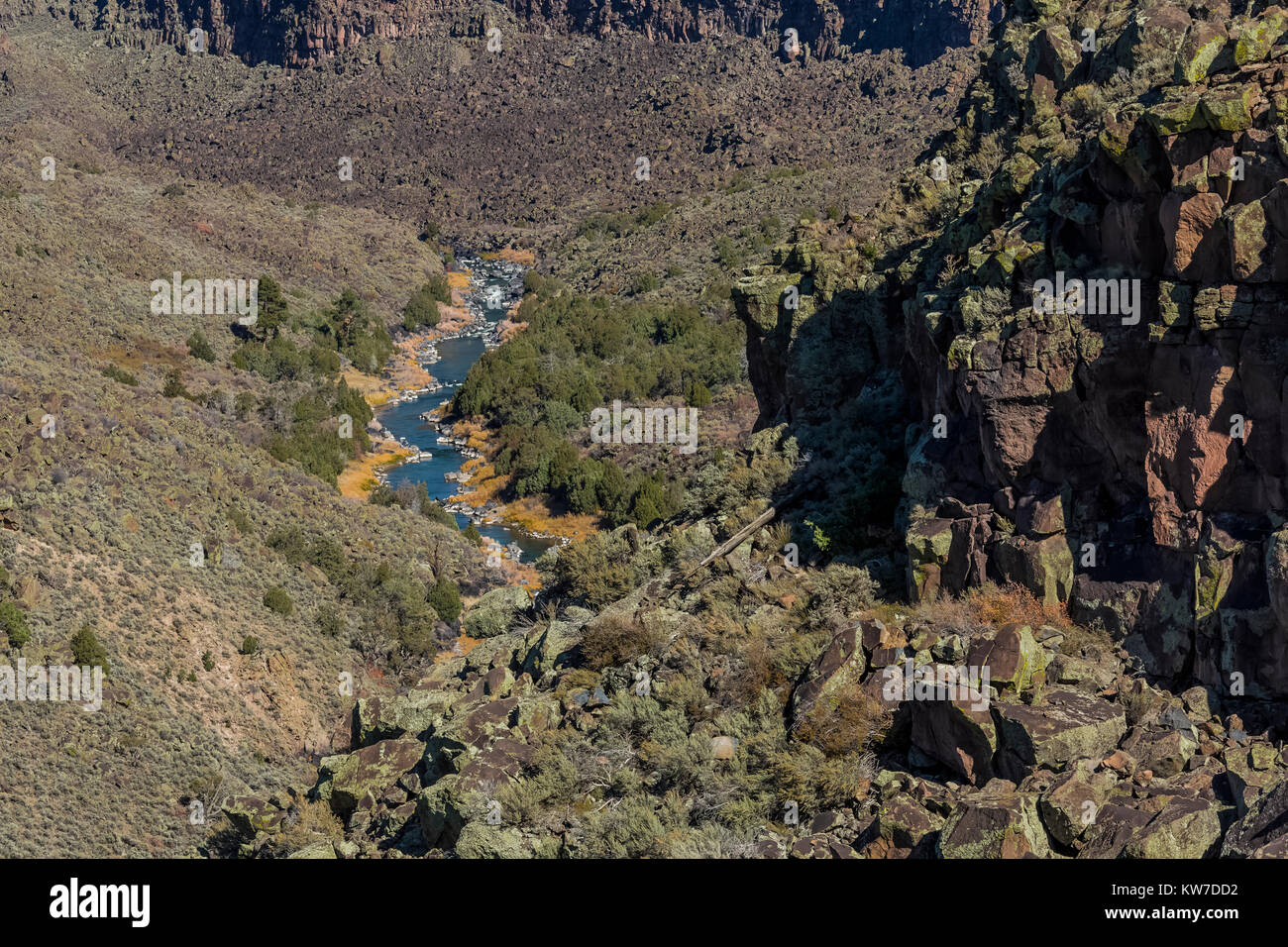 Río Grande en la zona de ríos salvajes de Río Grande del Norte Monumento Nacional cerca de Taos, Nuevo México, EE.UU. Foto de stock