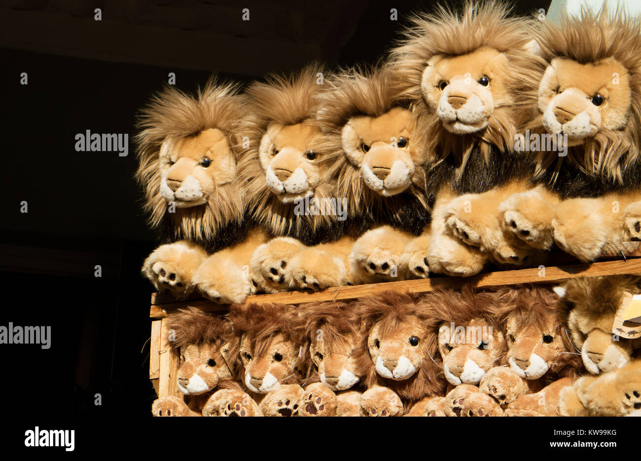 Los leones de juguete en la pantalla en una tienda de niños Fotografía de  stock - Alamy