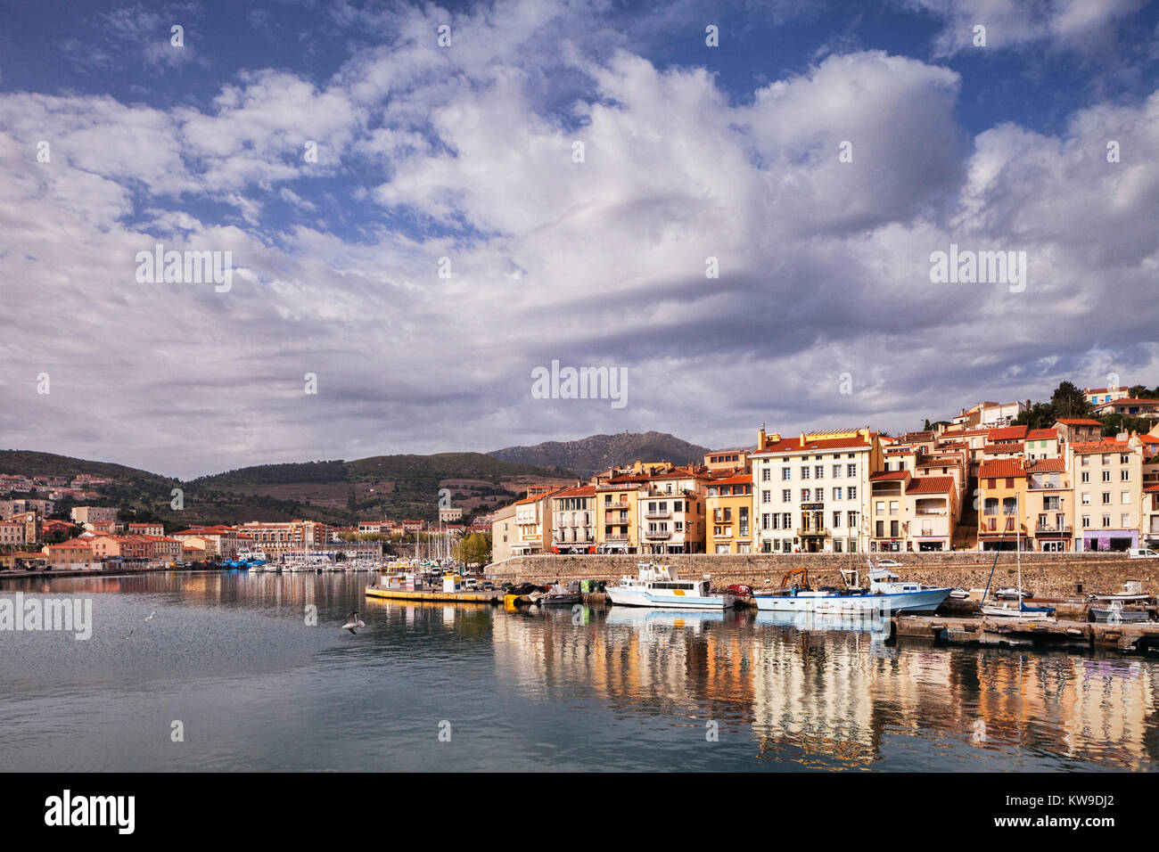 Port Vendres, Languedoc-Roussillon, Pirineos Orientales, Francia Foto de stock