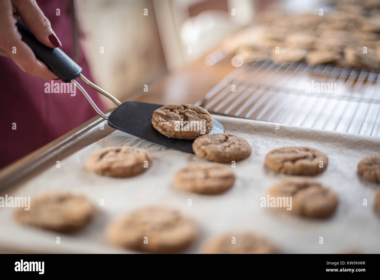 Closeup caseros de jengibre se coloquen cookies en rack de refrigeración Foto de stock