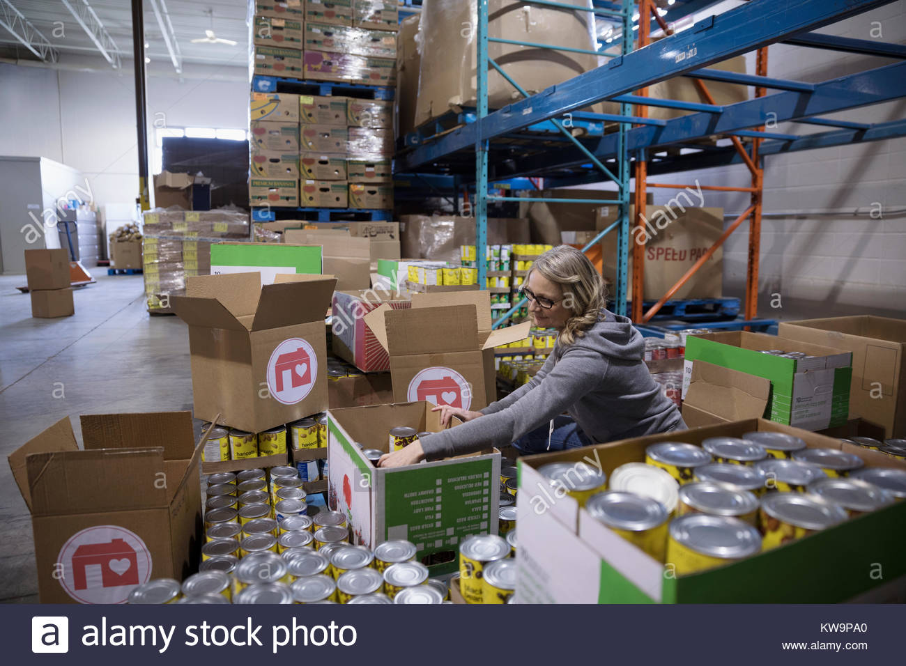 Voluntario Femenino llenado caja de donación con los alimentos enlatados para unidad de alimentos en el almacén Foto de stock