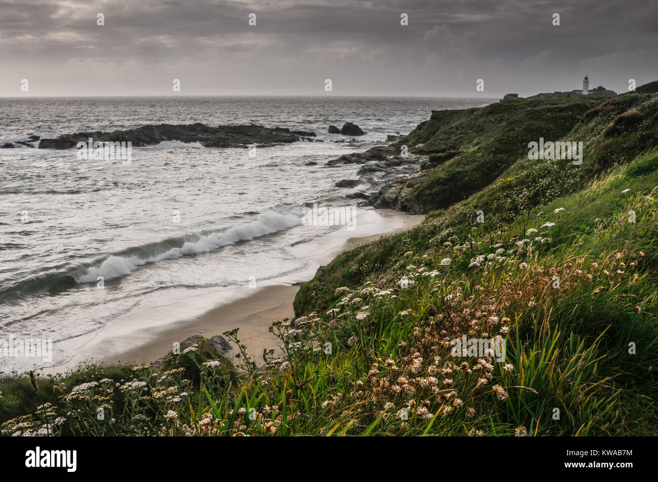 Escarpados acantilados cubiertos de hierba con flores sobre la playa con rocas y Rompiendo las olas en la costa de Cornualles, Cornwall, Inglaterra, Reino Unido. Foto de stock
