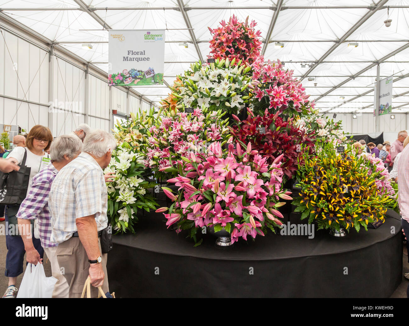 Los visitantes a la Carpa floral de los jardineros' el mundo del evento en vivo en el NEC, Birmingham, Reino Unido. Gran pantalla de diversas especies de lirio. Foto de stock