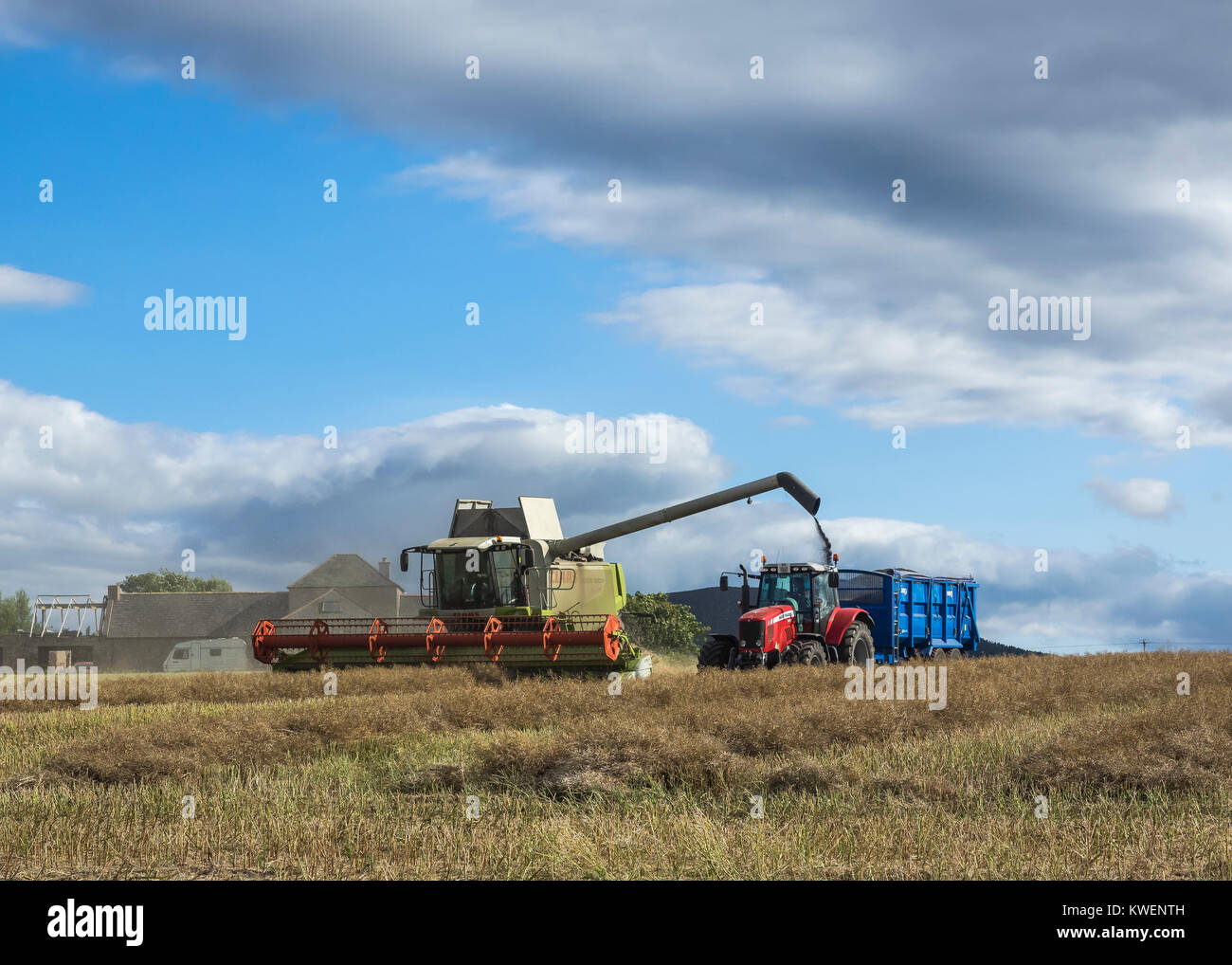 Una cosechadora y tractor cosechas en Moray, Escocia, Reino Unido Foto de stock