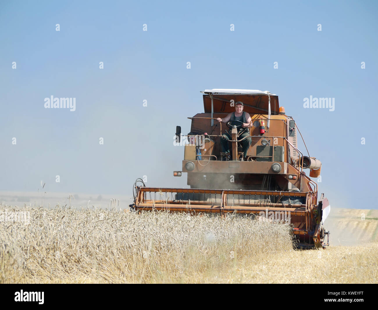 Cosechadora trabaja en el campo de maíz Foto de stock