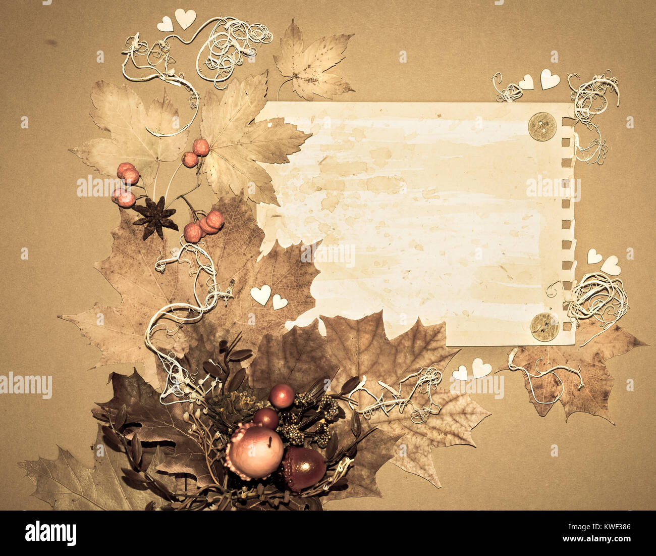Bastidor de papel decorado con hojas de otoño, raíces, serbas y corazones  de cartón, el espacio Fotografía de stock - Alamy