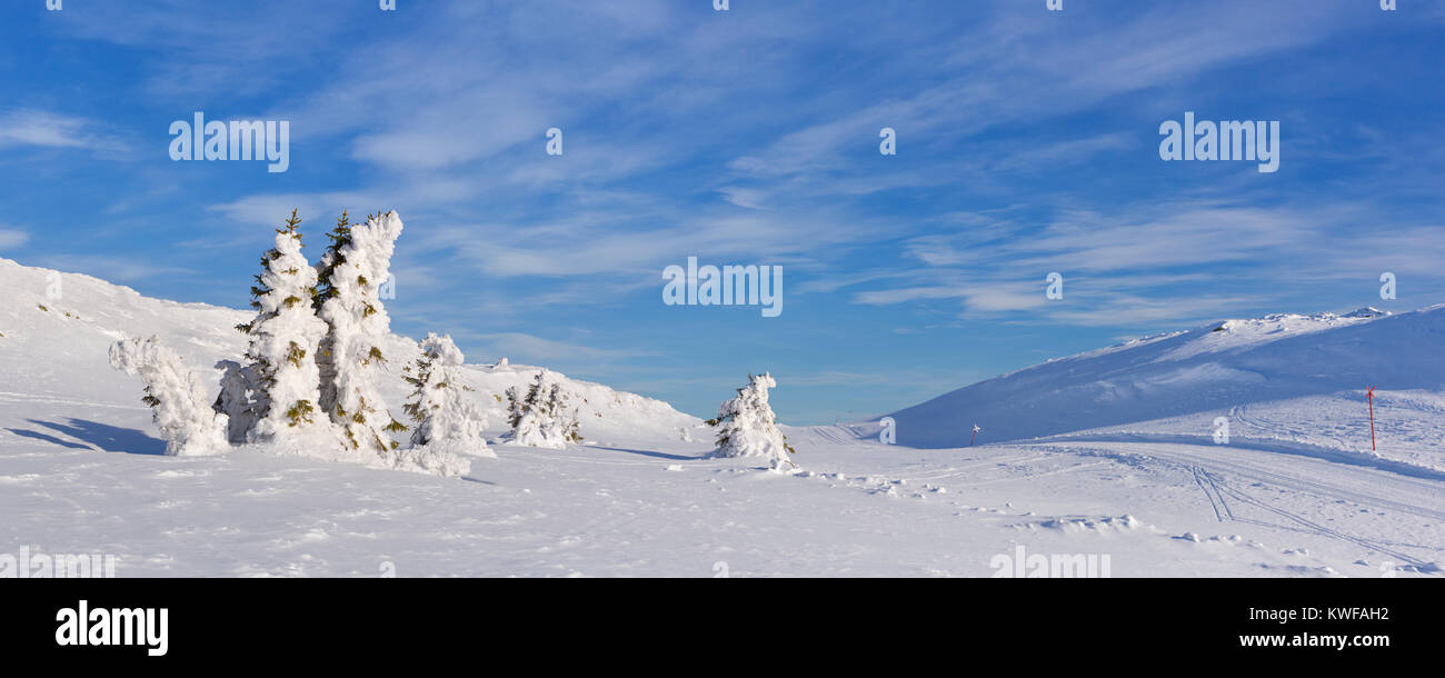 Árboles congelados en un paisaje nevado de invierno en Trysil, Noruega. Fotografiado en un día soleado. Foto de stock