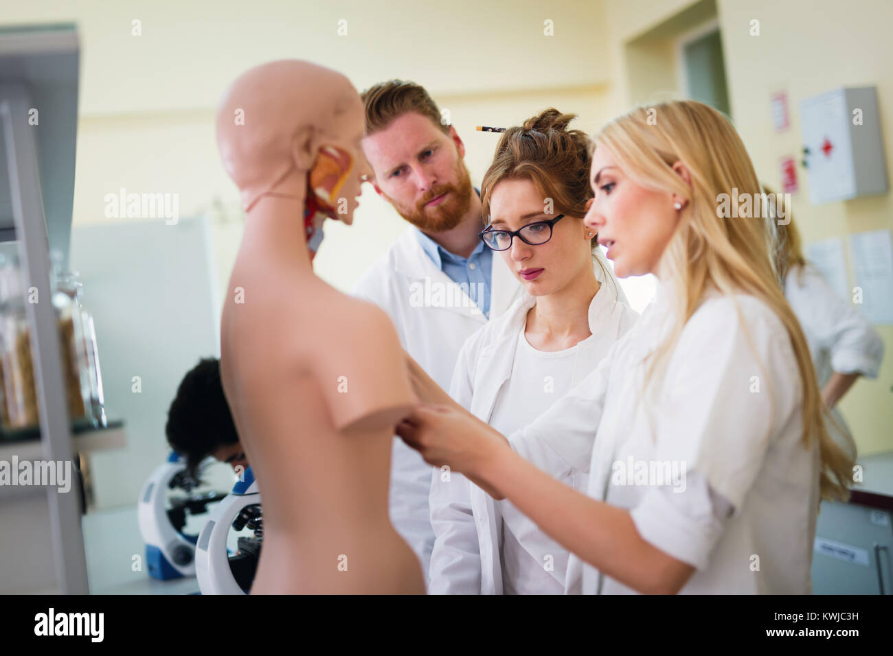 Los estudiantes de medicina el examen modelo anatómico Foto de stock