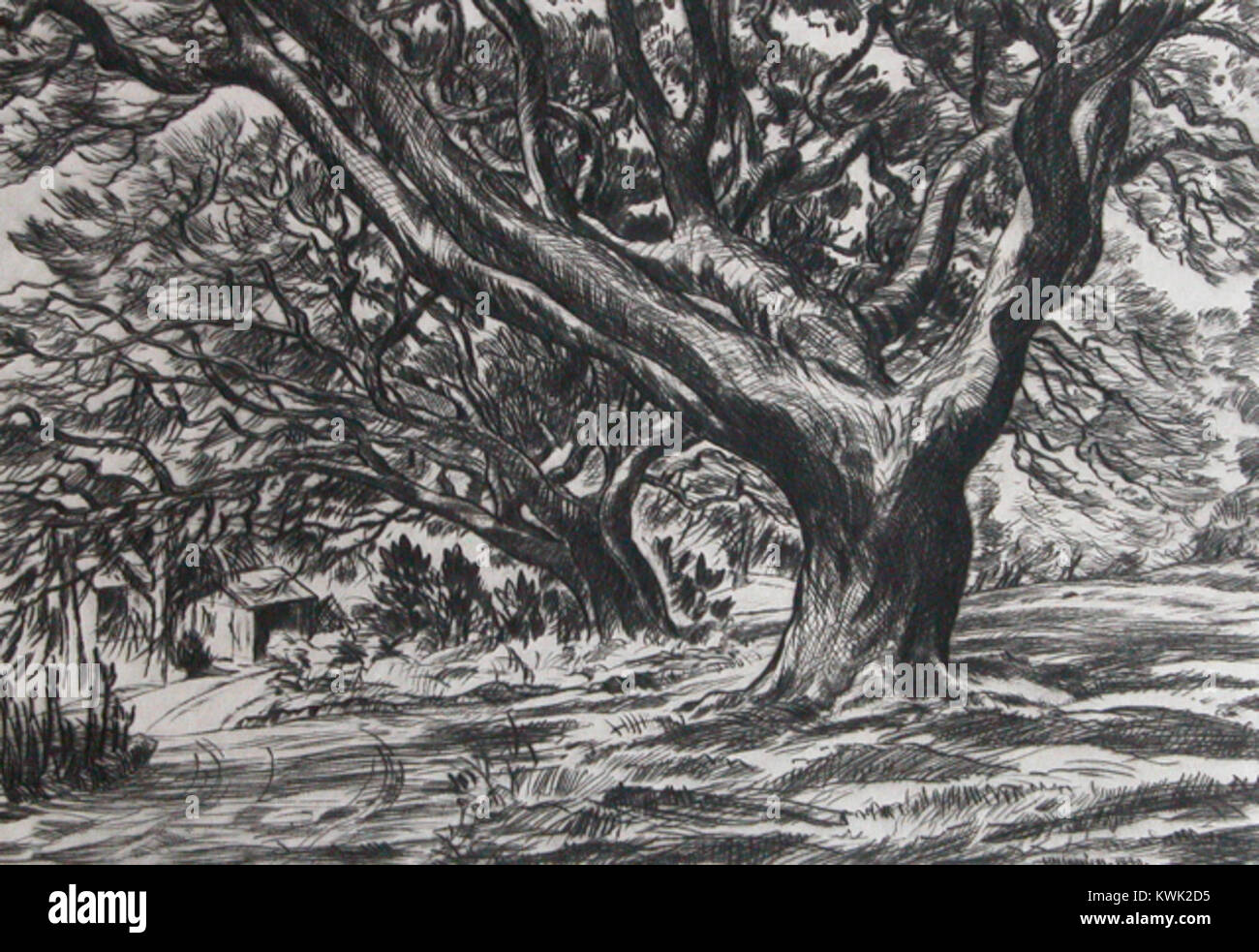 Los Árboles por Huc-Mazelet onkeypod Luquiens, 1940, punta seca Fotografía  de stock - Alamy
