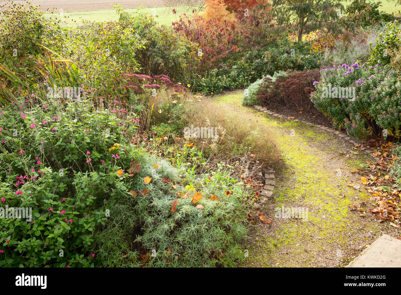 Jardines Brightwater, Saxby, Lincolnshire, Reino Unido. Otoño, octubre de 2017. Foto de stock