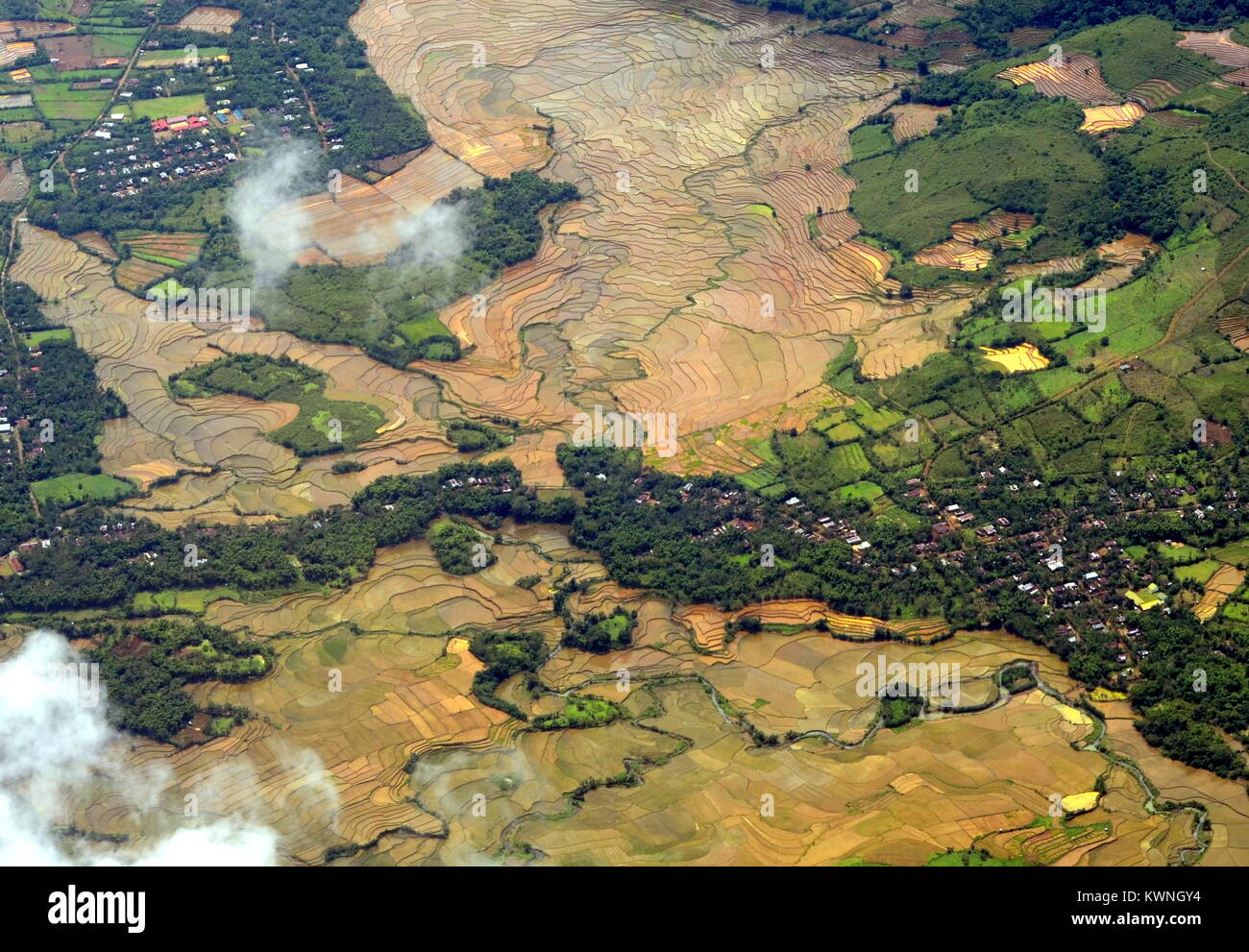 Los campos de arroz inundados con 'ricos en nutrientes y agua marrón barro' durante la temporada de lluvias en la regencia de Pangkep (Pangkajene Kepulauan) en el sur de Sulawesi. Foto de stock