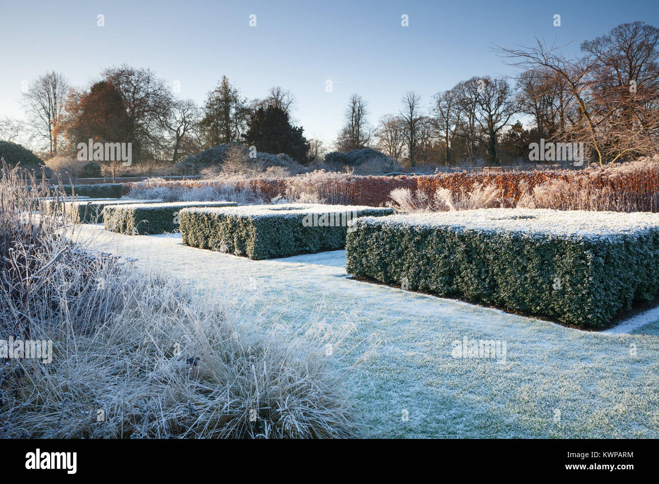 Scampston jardín amurallado, North Yorkshire, Reino Unido. El invierno, de diciembre de 2017. Cuatro acres de jardín contemporáneo diseñado por Piet Oudolf. Foto de stock