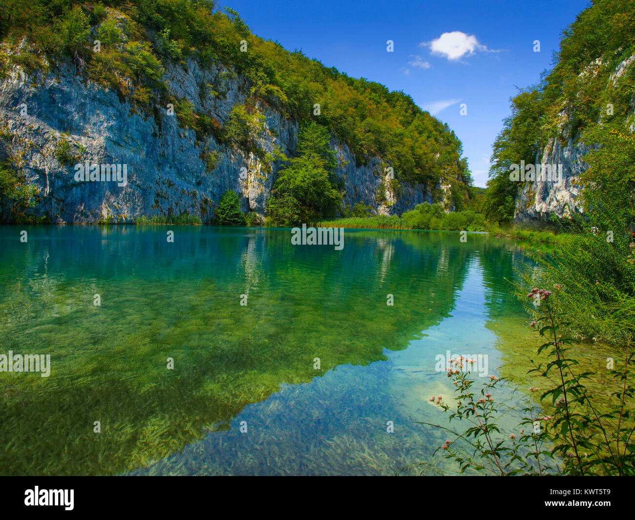 El Parque Nacional de los lagos de Plitvice el paisaje con hermosos lagos y claro cielo azul Foto de stock