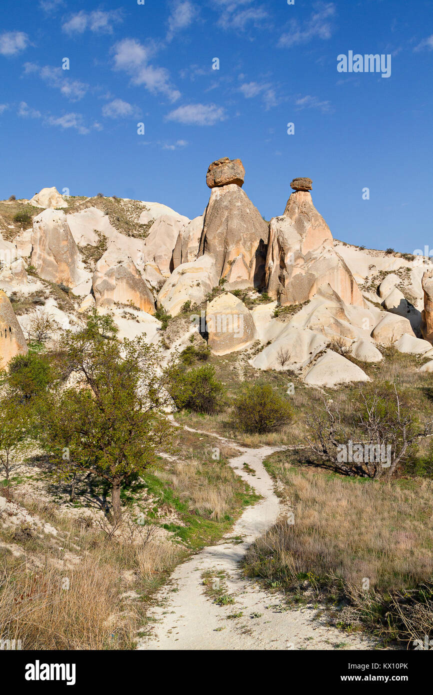 Chimeneas de hadas de Urgup, Cappadocia, Turquía. Foto de stock