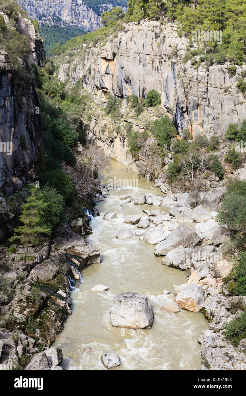 Cañón Koprulu. Una vista del río Kopru Koprulu y cañón. Cañón Koprulu es un parque nacional en la provincia de Antalya, al sur oeste de Turquía. Foto de stock