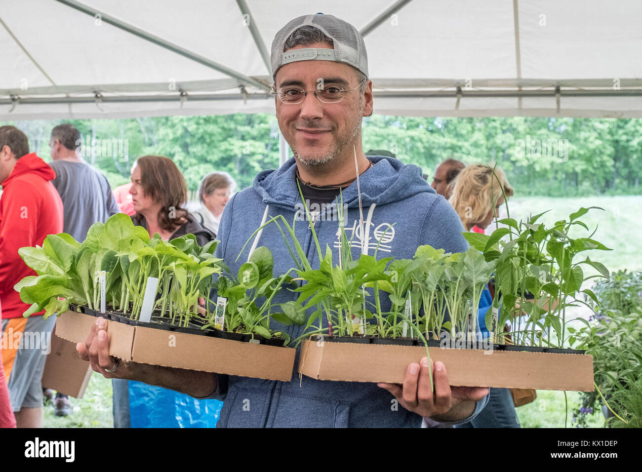 Hombre con dos pisos de plantas que está comprando Foto de stock