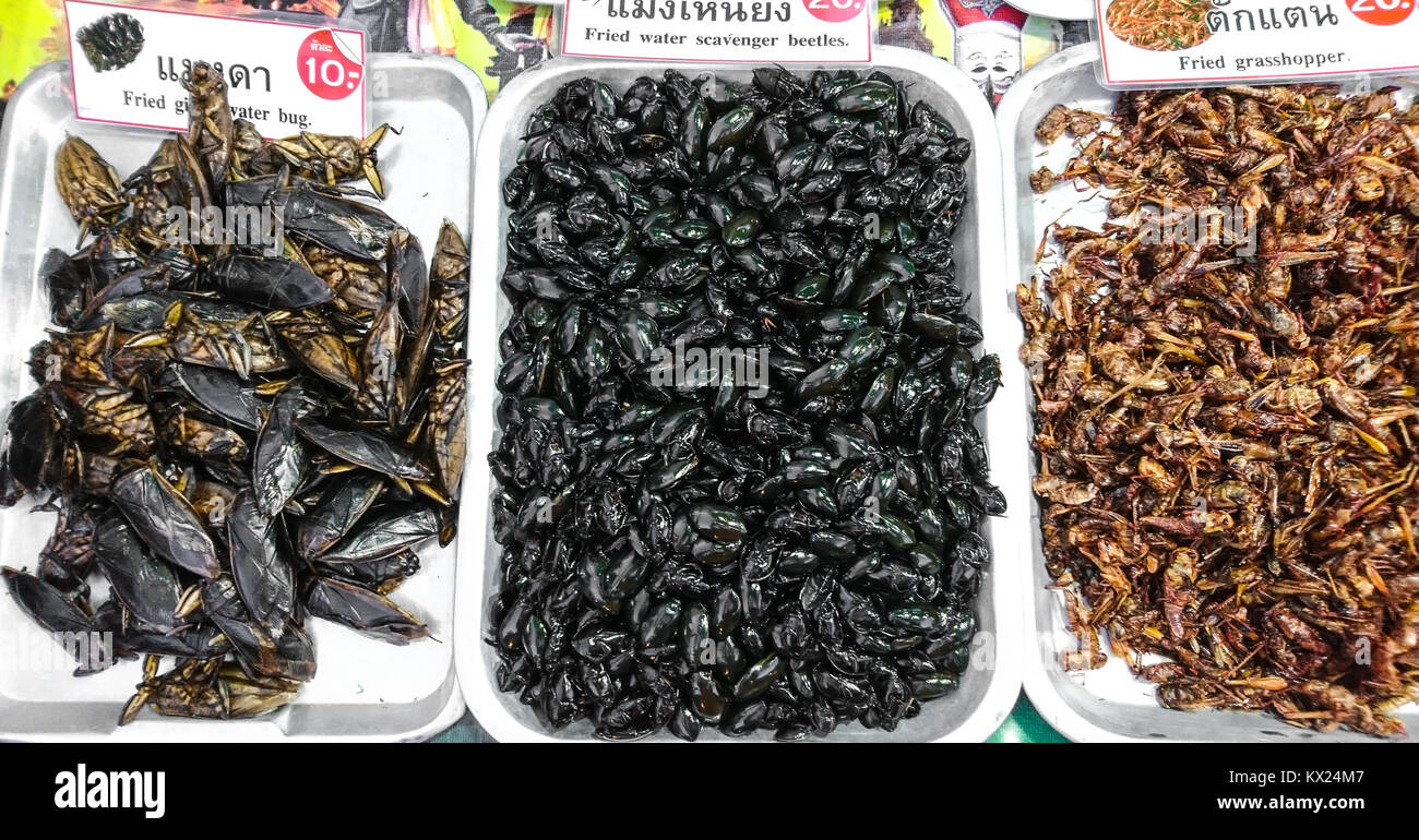 Calle tailandesa comida exótica. Los escarabajos fritos comestibles, grillos Foto de stock
