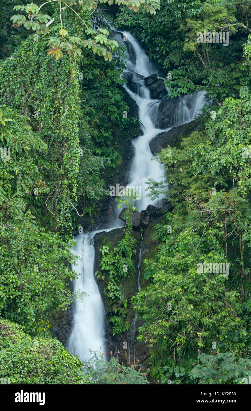 Cascada de la Selva, Parque Nacional Blue y John Crow Mountains, Jamaica Foto de stock