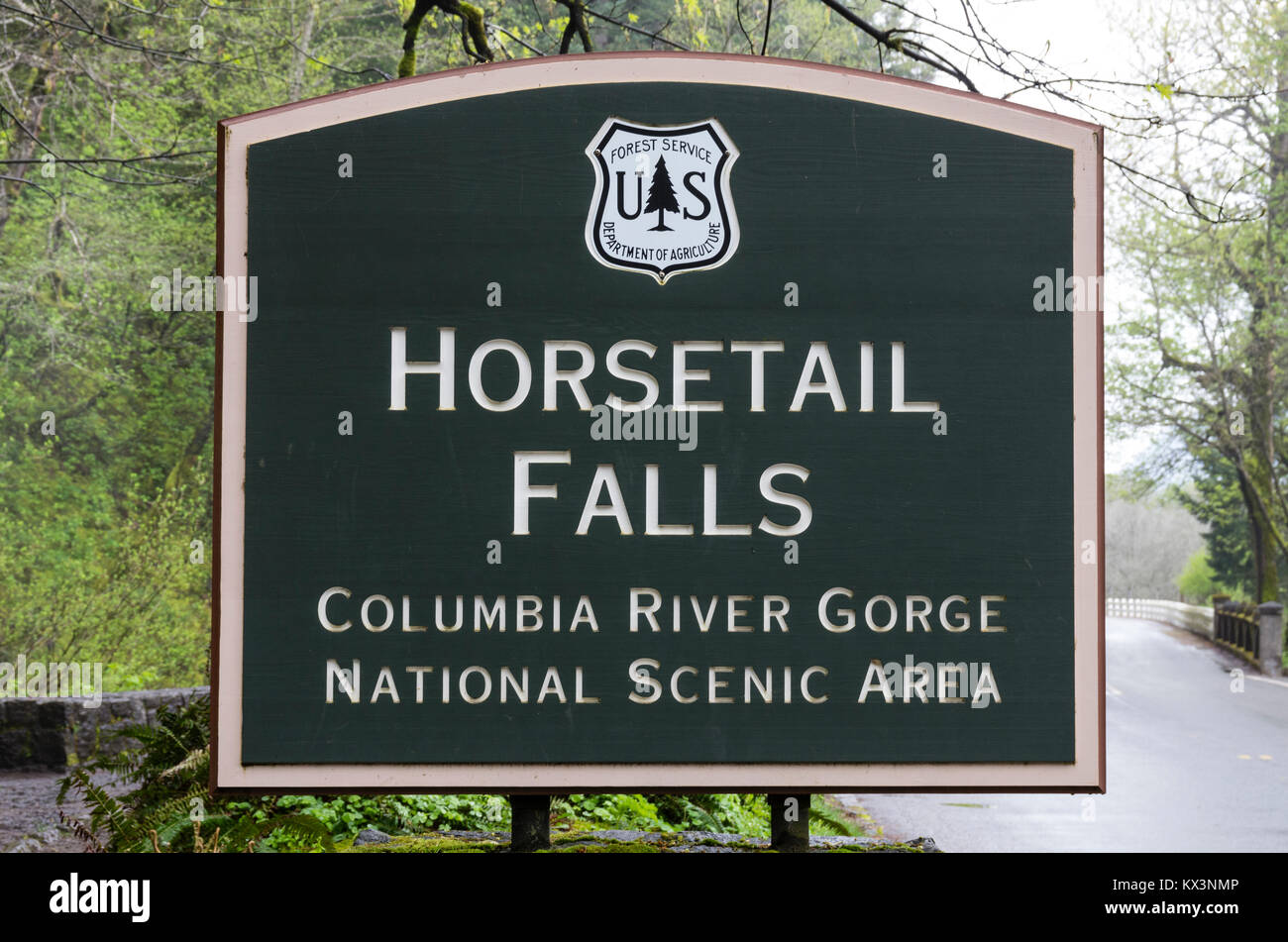 Signo de Equiseto o cola de caballo cae en la Columbia Gorge National Scenic Area Foto de stock