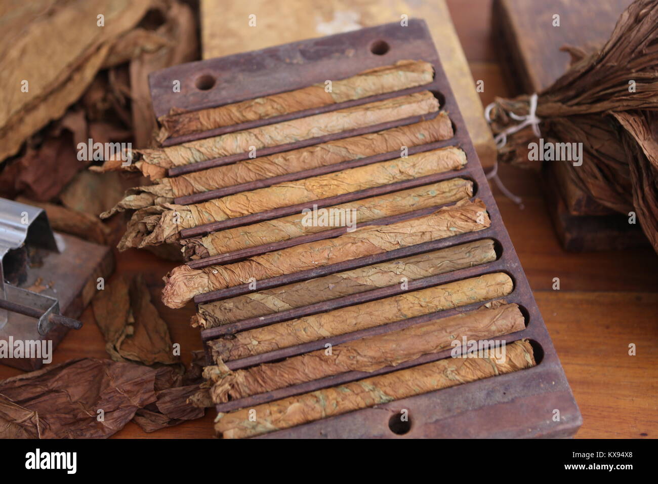 Herstellung Zigarren Cigarros en Cuba -la fabricación en Cuba Foto de stock