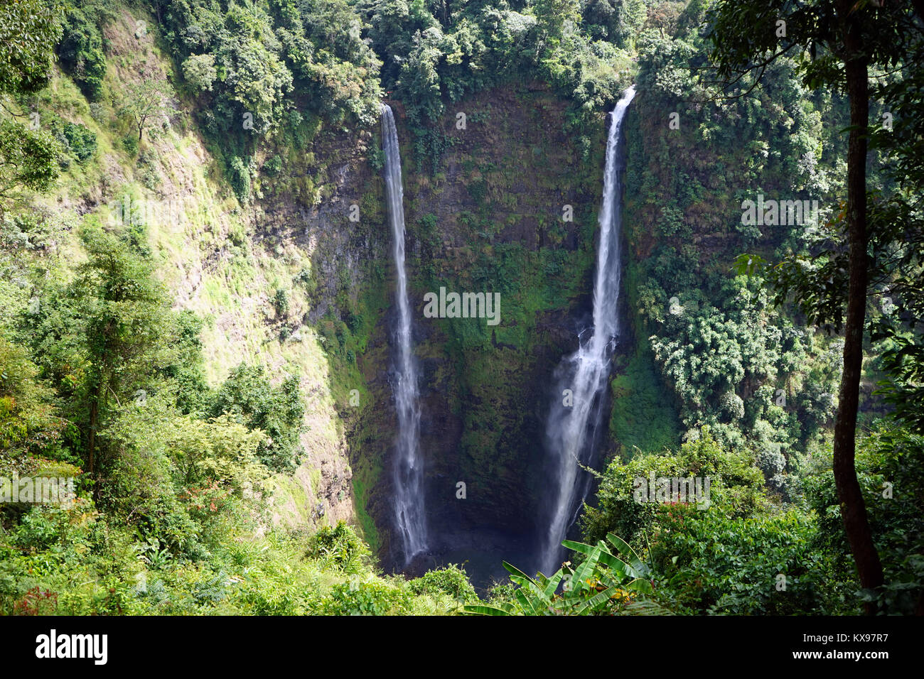 Tad Fane cascada en la meseta Boleven en Laos Foto de stock
