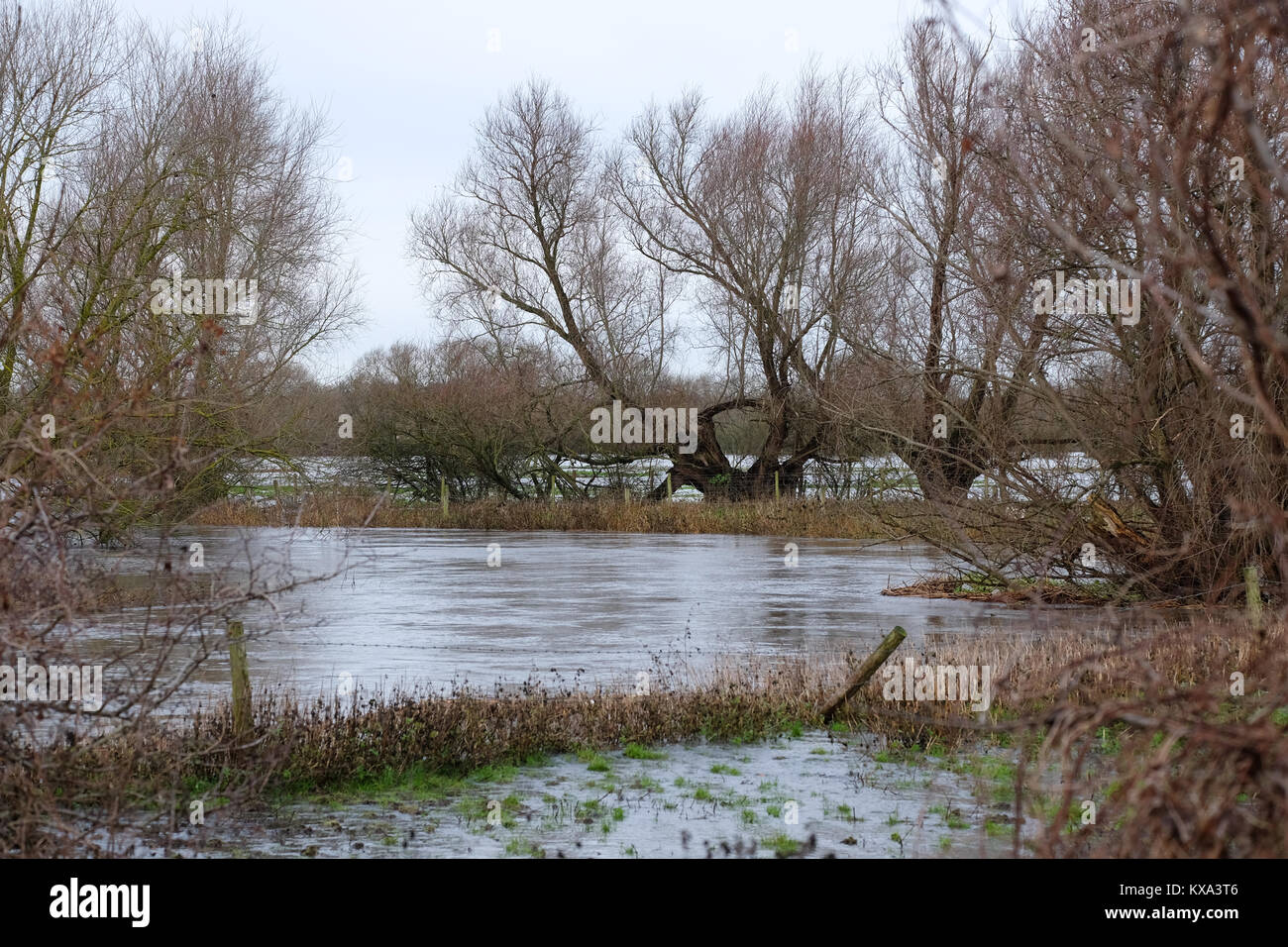 Río inundado se disparan en Leicestershire Foto de stock