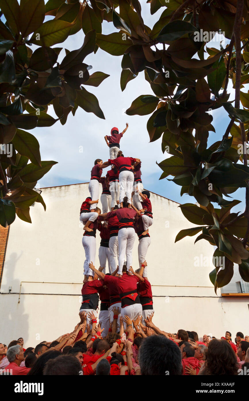 Personas haciendo torres humanas en Valls, un espectáculo tradicional en Cataluña llamado 'castellers', con la gente de escalada y Foto de stock