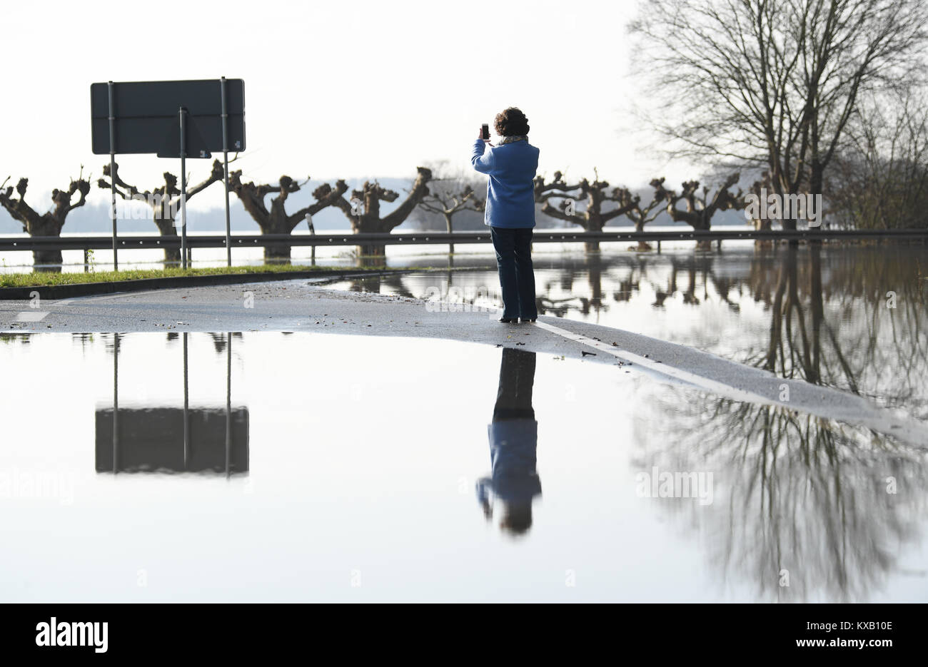 Oestrich-Winkel, Alemania. 09ene, 2018. Una mujer toma fotografías de la carretera principal B42 inundada en Oestrich-Winkel, Alemania, 09 de enero de 2018. El nivel de las aguas del Rin es disminuir los días siguientes. Crédito: Arne Dedert/dpa/Alamy Live News Foto de stock