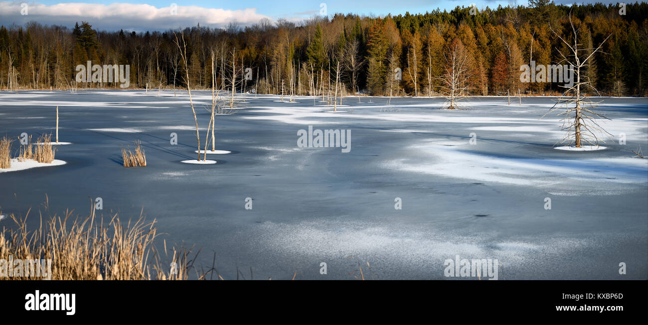 Principios de invierno lago congelado al atardecer con árboles muertos en la autopista 37 y 7 en Ontario, Canadá Foto de stock