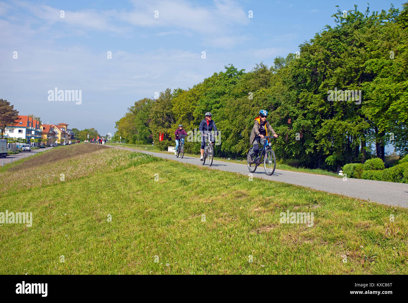 Los ciclistas en una presa, Bike Trail en Zingst, Fishland, Mecklemburgo-Pomerania Occidental, Mar Báltico, Alemania, Europa Foto de stock