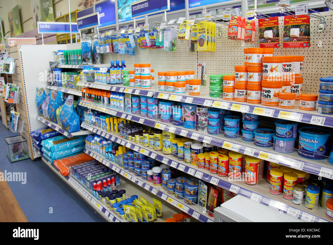 Orpington, Kent, Inglaterra: Circa Julio 2014: peces tropicales y de agua fría, también para la venta de equipo y alimentos para su venta en un supermercado de mascotas en Inglaterra. Foto de stock