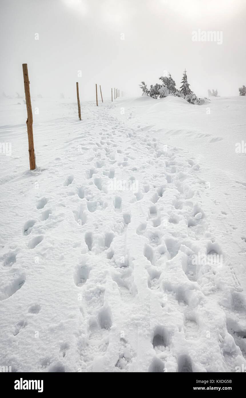 El calzado de senderismo huellas en la nieve, Blizzard en montañas Karkonosze, paisaje invernal, Polonia. Foto de stock